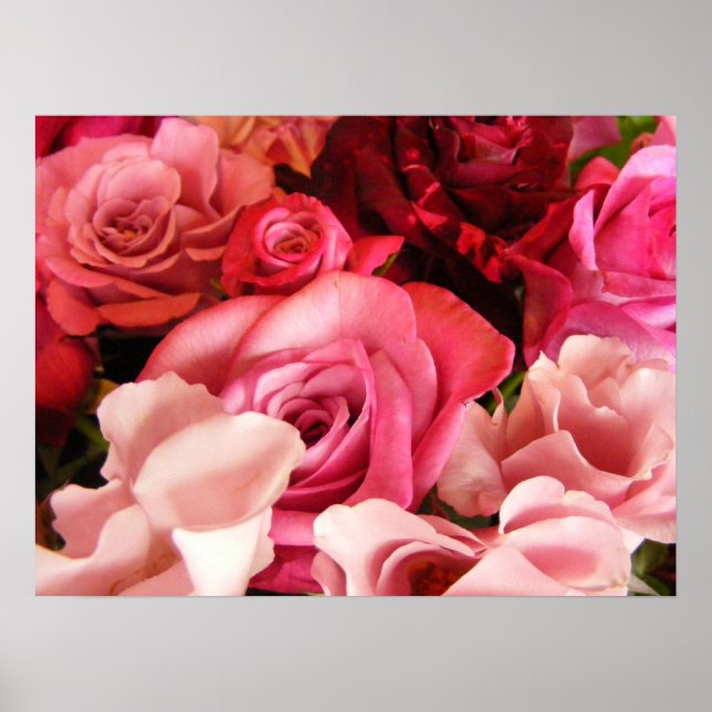 Rose Love Poster (Front)