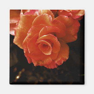 Rose Magnet