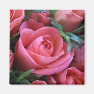 Rose Magnet