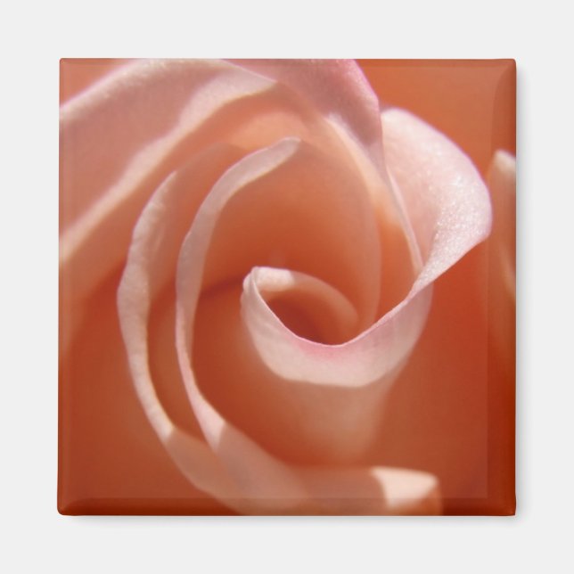 Rose Magnet (Front)