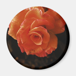 Rose Magnet
