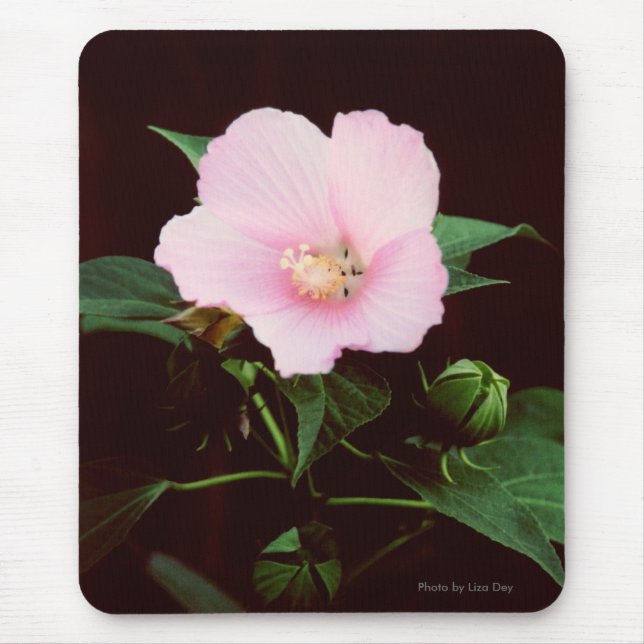 Rose Mallow Mousepad (Front)