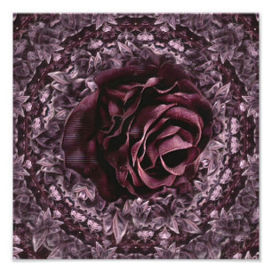 Rose Mandala  Photo Print