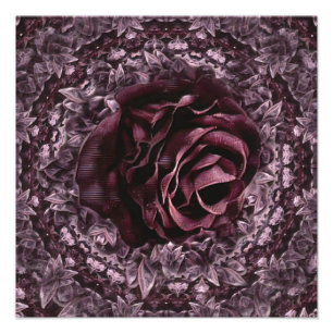 Rose Mandala Photo Print