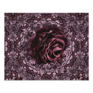 Rose Mandala Photo Print