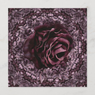Rose Mandala Programme