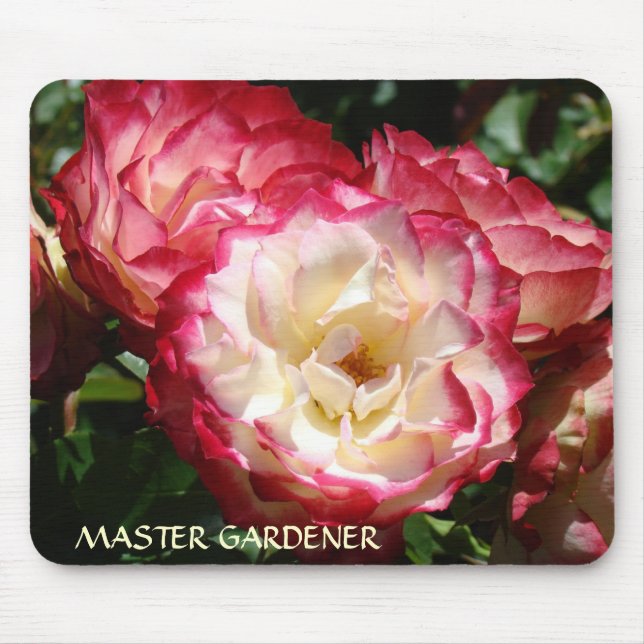 ROSE MASTER GARDENERS Mouse pad Roses Garden (Front)