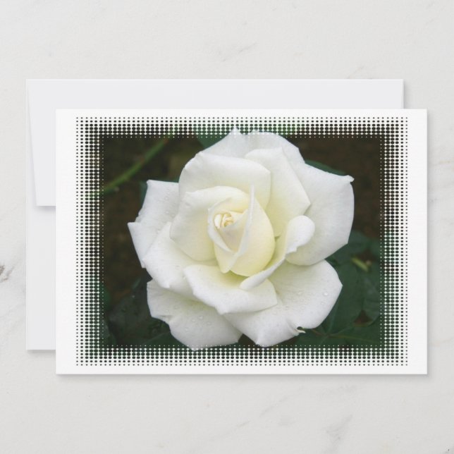 Rose Meanings Invitation (Front)