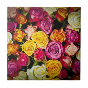 Rose Mix Tile