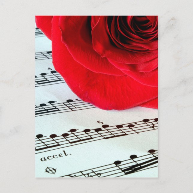 Rose & Music -Music Lover Postcard (Front)