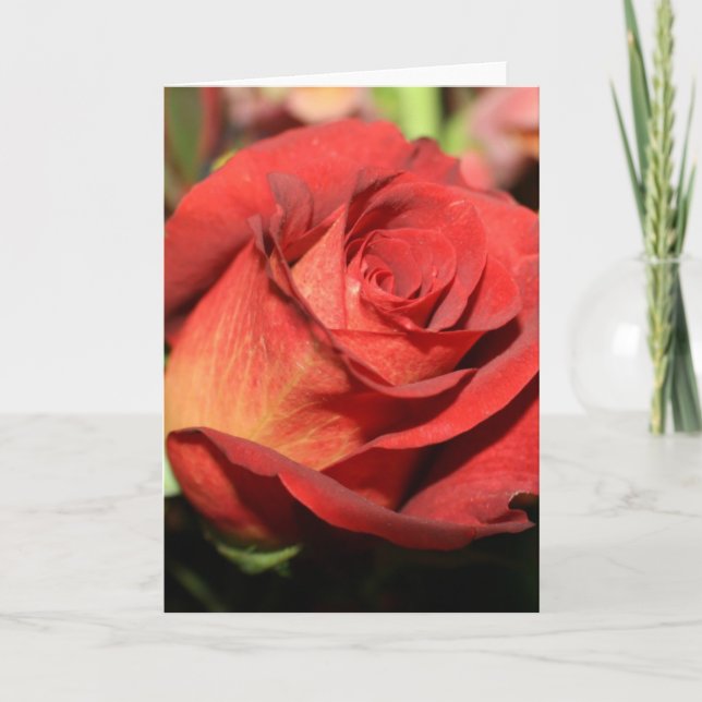 ROSE NOTE CARDS (Front)
