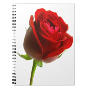 Rose Notebook
