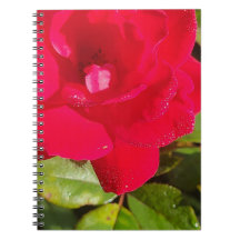 Rose Notebook