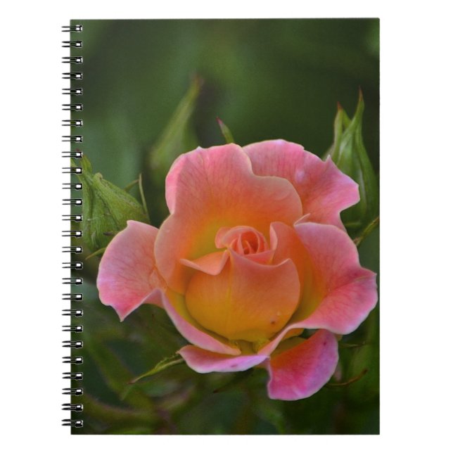 Rose Notebook (Front)