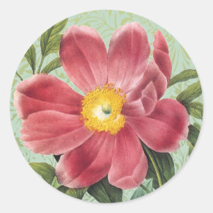 Rose of Love Floral Sticker Envelope Seal