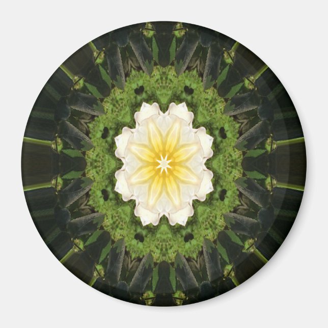 Rose of Love..... Magnet (Front)