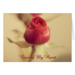 Rose of My Heart