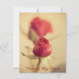 Rose of My Heart