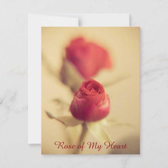 Rose of My Heart (Front)