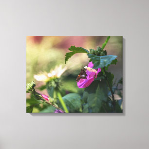 Rose Of Sharon And Visitor Canvas Print