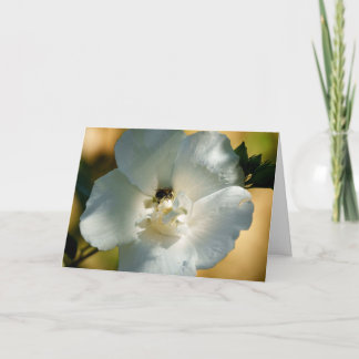 Rose of Sharon Blank Greeting Card