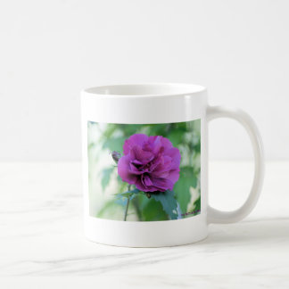 Rose of Sharon Mug