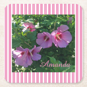 Rose of Sharon Striped Paper Coaster