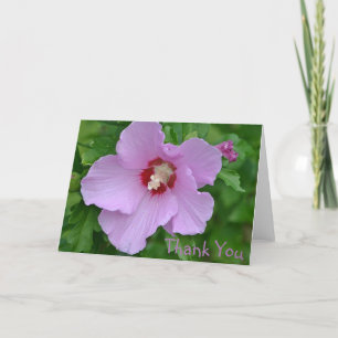 Rose Of Sharon Thank You Card