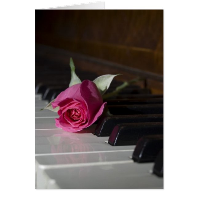 Rose on Piano (Front)