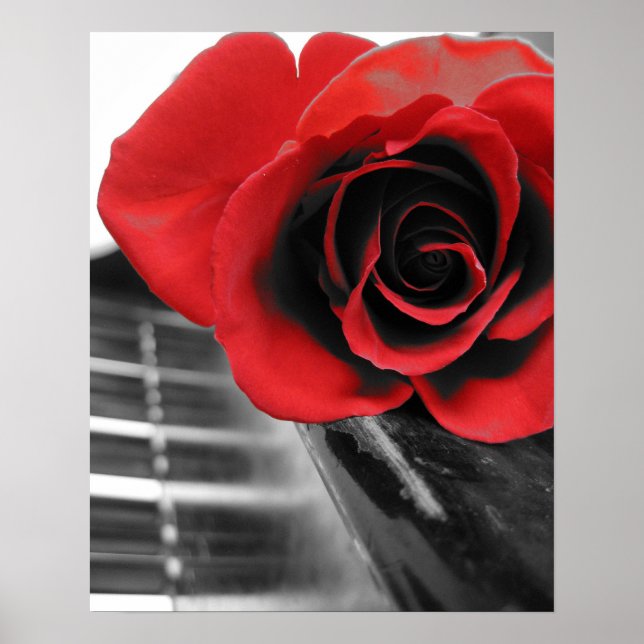 Rose on Piano Collection I Poster (Front)