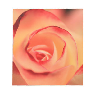 rose orange rose blossom bloom notepad
