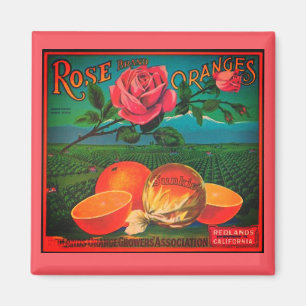 Rose oranges vintage fruit label magnet