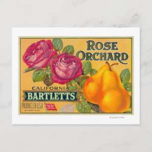 Rose Orchard Pear Crate Label Postcard