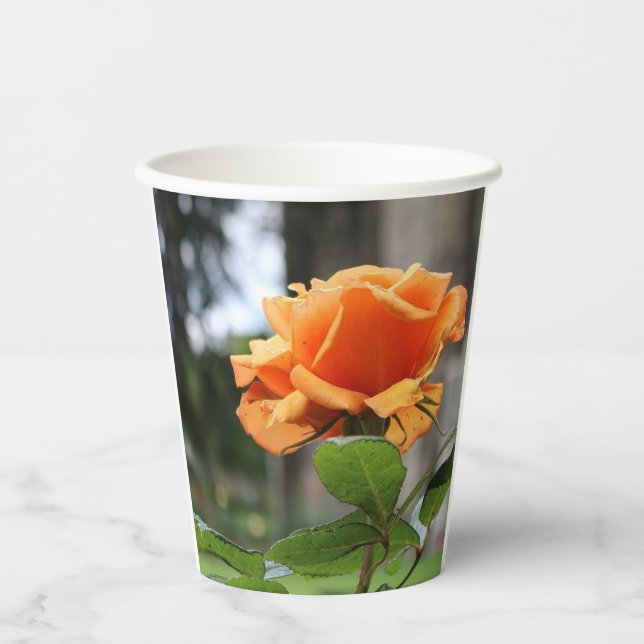 Rose Paper Cups (Front)