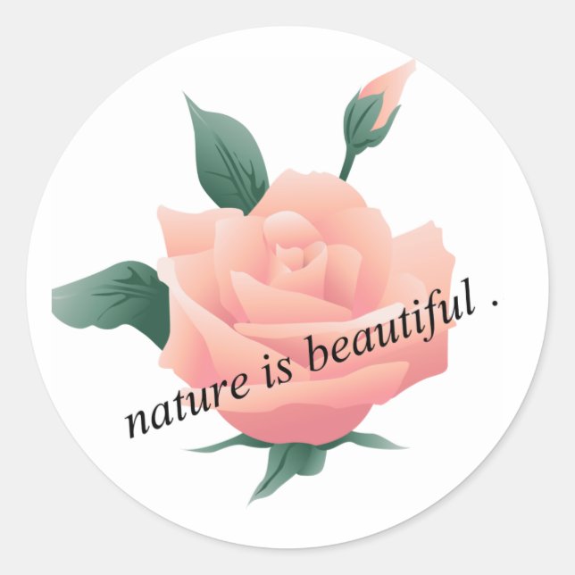 Rose (Peach) - Beautiful nature Classic Round Sticker (Front)
