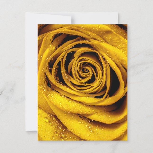 Rose Petals 4 Card (Front)