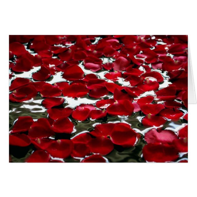 ROSE PETALS ON THE WATER (Front Horizontal)