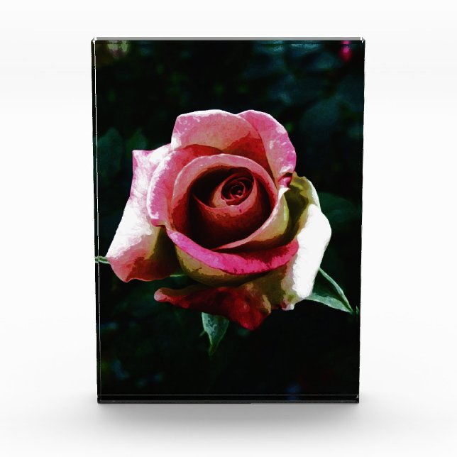 rose   photo block (Front)