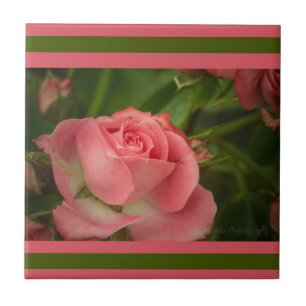 Rose Photo Tile