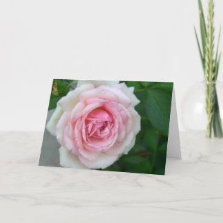 Rose (Pink -> White Gradient) Card