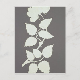 Rose Postcard