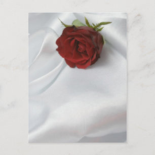 rose postcard
