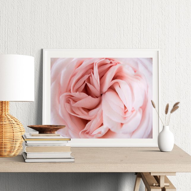 Rose print | flower wall art (Creator Uploaded)