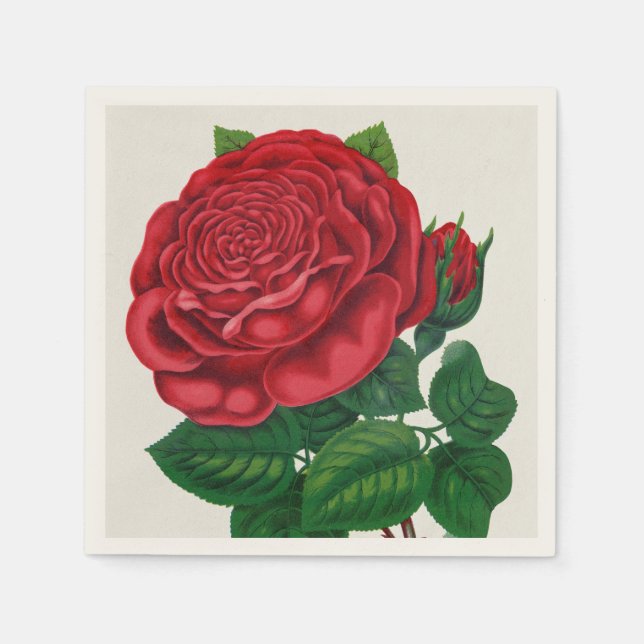 Rose Print Rochester Lithographing and Printing Co Napkin (Front)