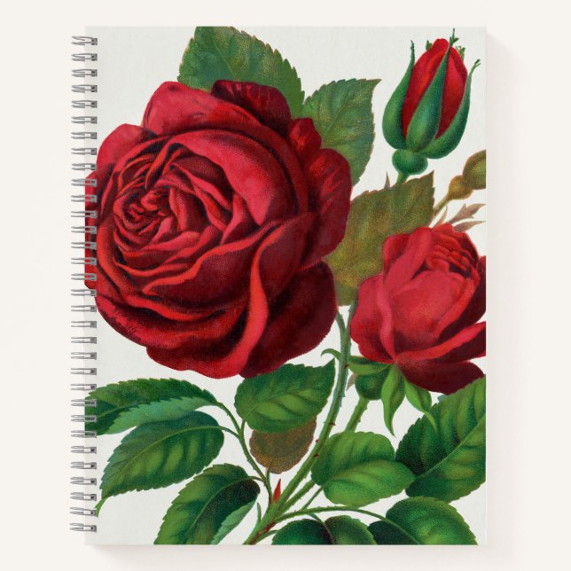Rose Print Rochester Lithographing and Printing Co Notebook (Front)