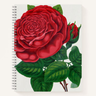 Rose Print Rochester Lithographing and Printing Co Notebook
