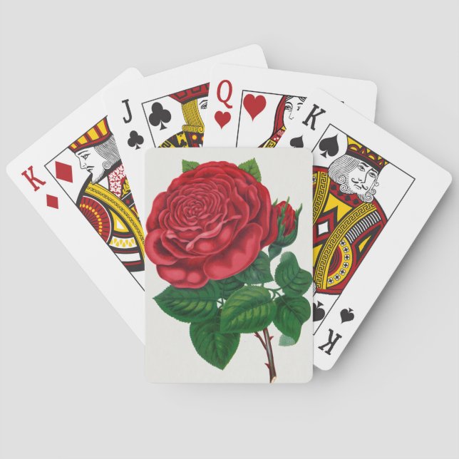 Rose Print Rochester Lithographing and Printing Co Playing Cards (Back)