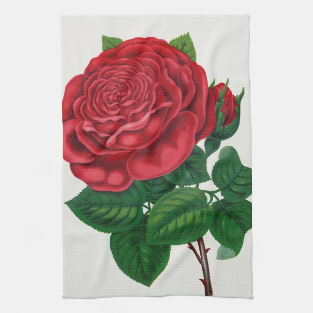 Rose Print Rochester Lithographing and Printing Co Tea Towel (Vertical)