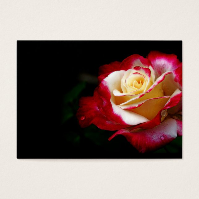 Rose profile card (Front)