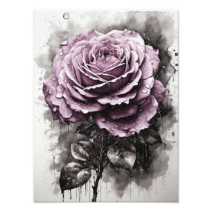 Rose - Purple Photo Print